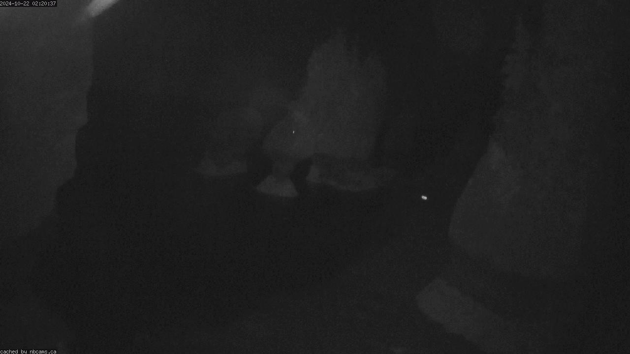 Web Cam image of Hopewell Rocks Provincial Park