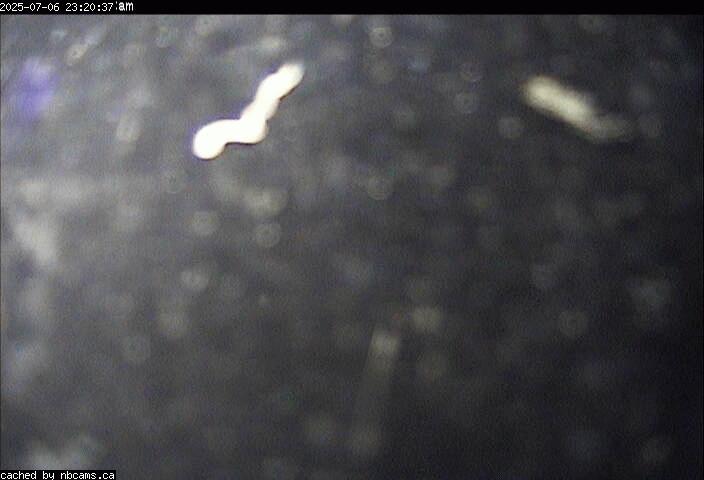 Web Cam image of Edmundston (Mont Farlagne)