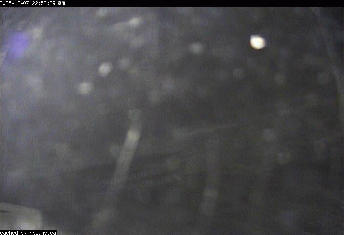 Web Cam image of Edmundston (Mont Farlagne)